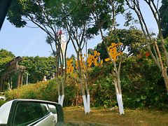 -荔城生鲜盛宴(番禺旗舰店)