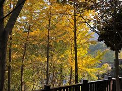 -白马涧龙池景区