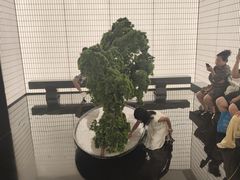 -新白鹿餐厅(第一百货店)