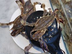 -川骄海鲜自助(河东店)