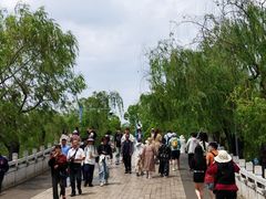 -翠湖公园