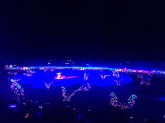 -鼎盛王朝康熙大典实景演出