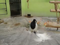 -石家庄市动物园