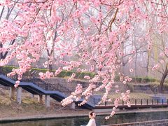 -安定门(地铁站)