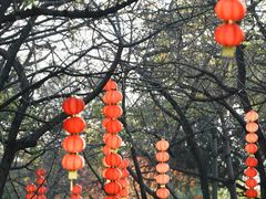 -云溪植物园
