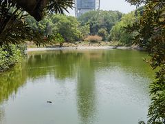 -深圳国际园林花卉博览园