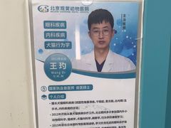-北京观赏动物医院·24小时大型综合·猫专科·异宠专科