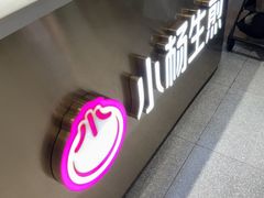 -小杨生煎(周浦万达店)