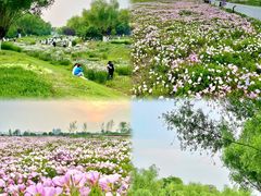 -汉长安城未央宫国家考古遗址公园