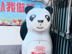 小区环境-蒋家桥小区