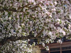 -利顺德大饭店·维多利亚花园(小白楼店)