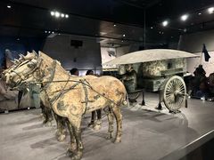 -秦始皇帝陵博物院-丽山园