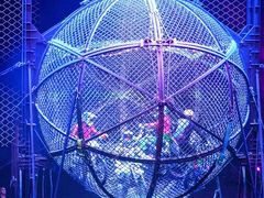 -广州长隆国际大马戏