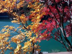 -叠溪松坪沟景区