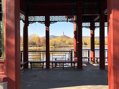 -北坞公园