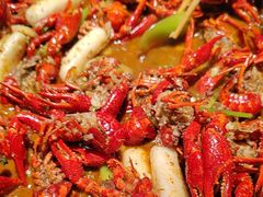 -京悦南门涮羊肉·羊蝎子火锅(田林路店)