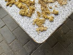 -沙湾姜埋奶(兴新包店)