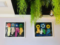 -Husky Go! 哈士奇体验馆·宠物咖啡厅狗咖