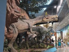 -湖南省地质博物馆