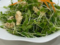 -鑫巴蜀小镇 · 水煮鱼专研店(玉桥店)