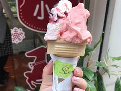 番石榴-柠檬车露(卖草地店)