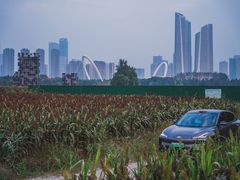 -南京眼步行桥
