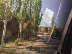 -鸡鸣山旅游景区