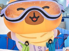 -广州热雪奇迹