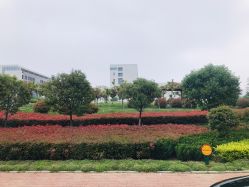 -河南省儿童医院(郑东院区)