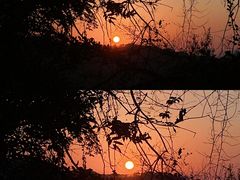 -宝安西湾红树林湿地公园