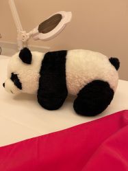 -美丽田园Beauty Farm