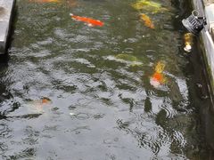 -顺德了能馆(虎门店)