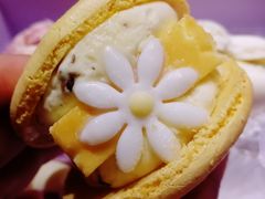 -好利来(川大店)