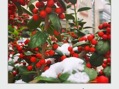 -金陵一哥龙虾(水木秦淮店)