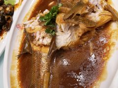 酱焖鲈鱼-添福来墨鱼饺子 · 海鲜东北菜(大连星海·黄浦路店)