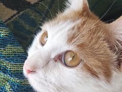 -平行世界·猫咖(首经贸店)
