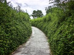 -阳澄湖半岛旅游度假区