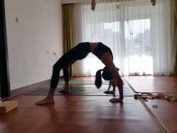 -Yvon yoga 瑜伽·精准体态管理中心