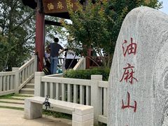 -黄埔油麻山森林公园
