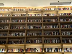 -深影国际影城(学院南路店CGS中国巨幕店)