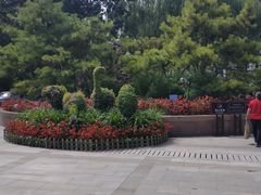-文瀛公园
