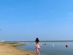 -碧海金沙