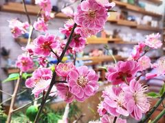 -今日陶艺(富力广场店)