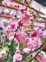 -今日陶艺(富力广场店)