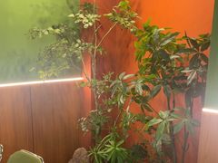 -0048鲜活香辣虾·火锅(铜陵路店)