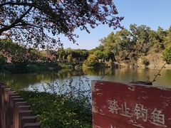 -王借岗森林公园