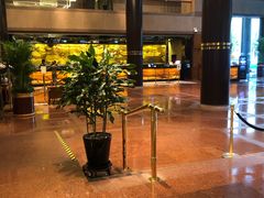 -上海新锦江大酒店