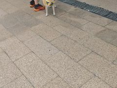 -云幽谷旅游区