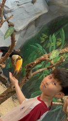 -Zoolung Zoolung动物主题公园(海信广场店)