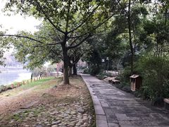 -成都市活水公园